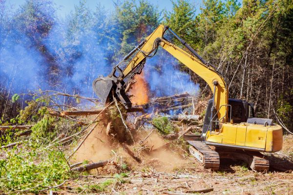 Akron Land Clearing